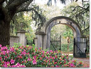 Things to do in Savannah, busybeevacations.com